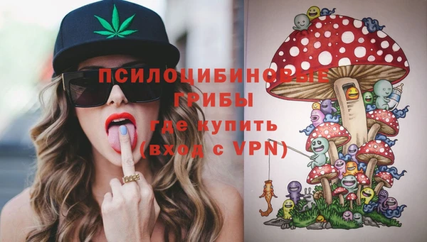 хмурый Дмитровск