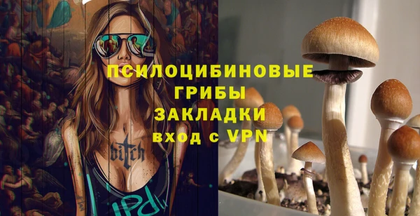 хмурый Дмитровск