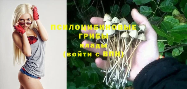 скорость Дмитров