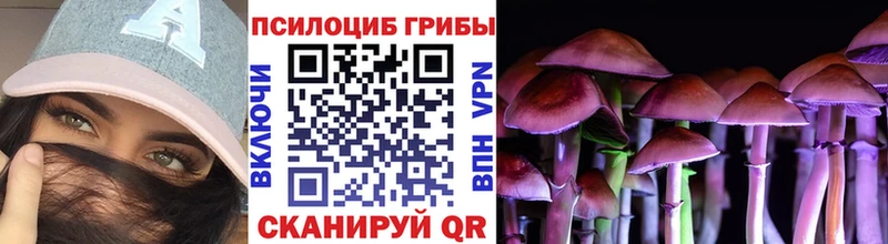 Псилоцибиновые грибы GOLDEN TEACHER Майский