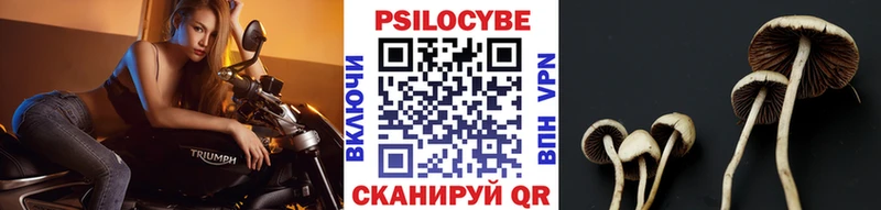 Купить закладки  Майский  Галлюциногенные грибы Magic Shrooms 